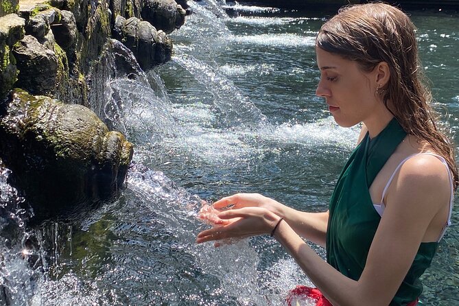 Private Ubud Monkey Forest Rice Terrace and Hidden Waterfall Tour - Tour Highlights