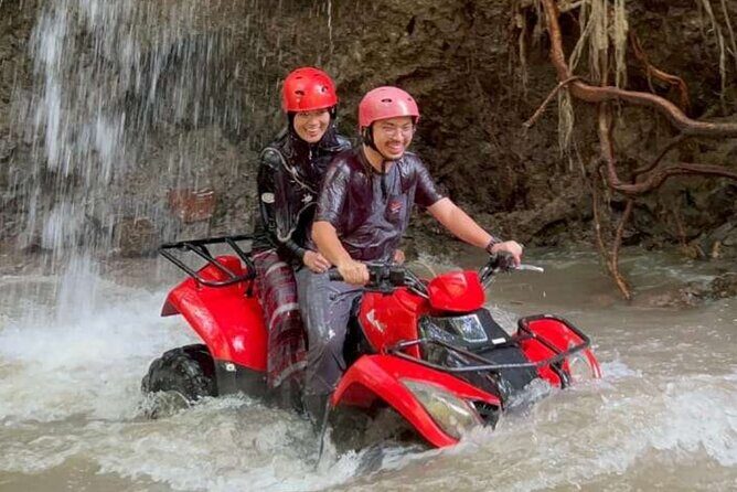 Private Ubud Sightseeing Tour with Entrance Fees - Real Traveler Insights and Reviews