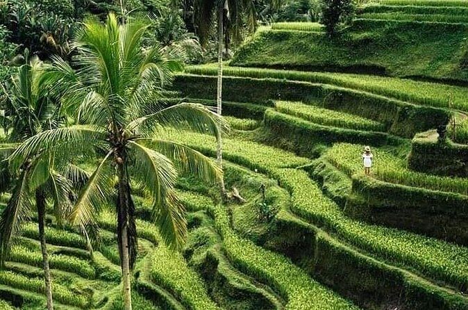Private Ubud Tour - FAQ