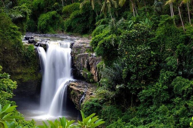 Private Ubud Tour - Practical Details That Matter