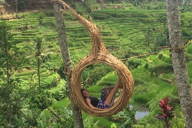 Private Ubud Tour Car Charter And Customs Itinerary - Itinerary Highlights