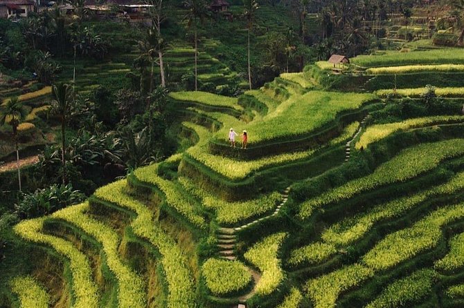 Private Ubud Tour - Itinerary