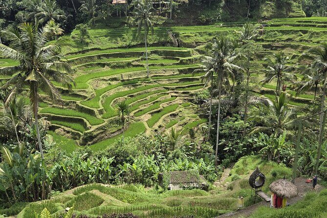 Private Ubud Tour Temples Rice Terraces and Waterfalls - Good To Know