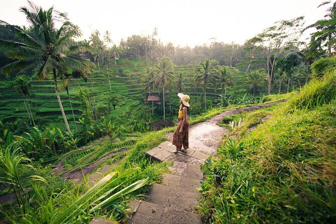 Private Ubud Tour with Monkey Forest and Waterfall - In-Depth Look at the Itinerary