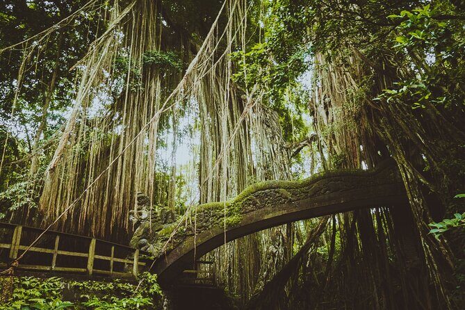 Private Ubud Tour with Monkey Forest and Waterfall - What’s Included and What to Consider