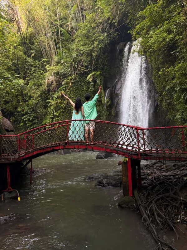 Private Ubud Waterfall Experience with Local Driver-Guide - The Itinerary in Detail