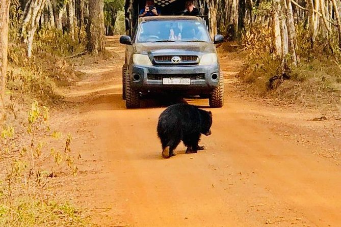 Private Udawalawe Nationalpark Jeep-Safari - Private Jeep Experience