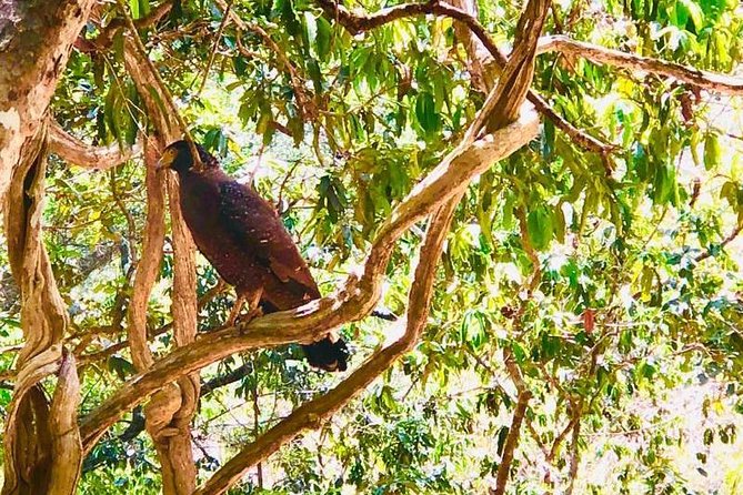 Private Udawalawe Nationalpark Jeep-Safari - Park Conservation Efforts