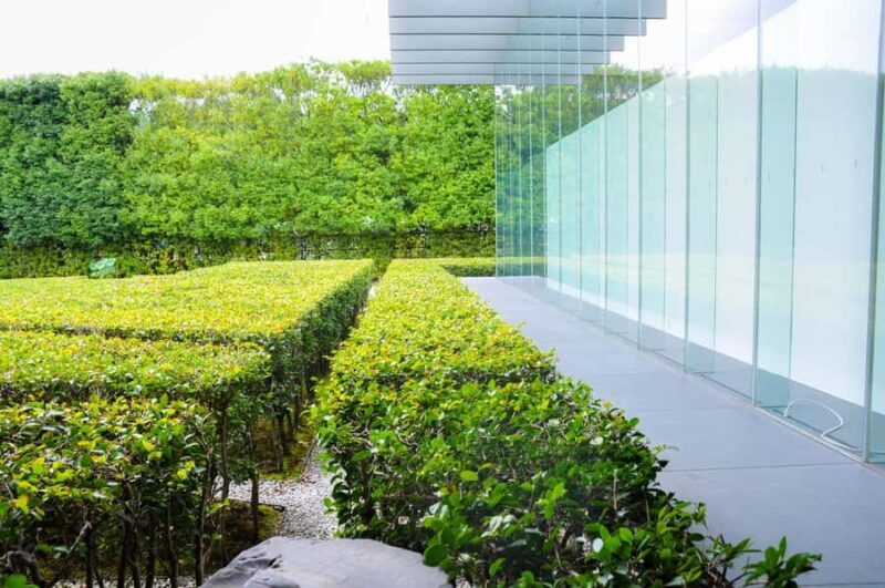 Private Uji Experience: Byodoin and Tea Culture in Luxury - Riverside Strolls and Scenic Views