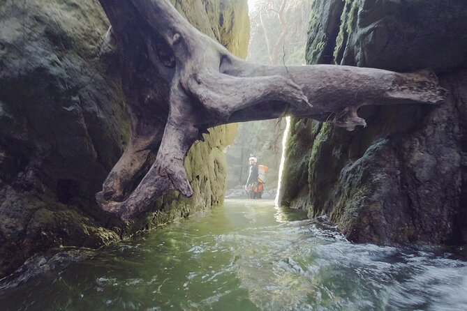 Private Ultimate Canyoning Experience in the Ochil Hills - Common Questions (FAQ)
