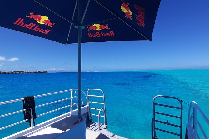 Private Underwater Excursion in the Bora Bora Lagoon - Good To Know