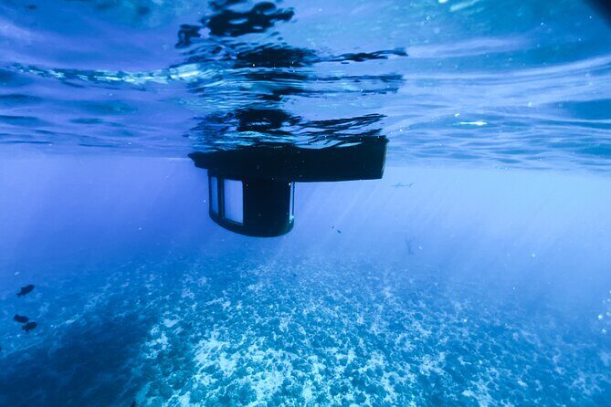 Private Underwater Excursion in the Bora Bora Lagoon - Practical Details and Considerations