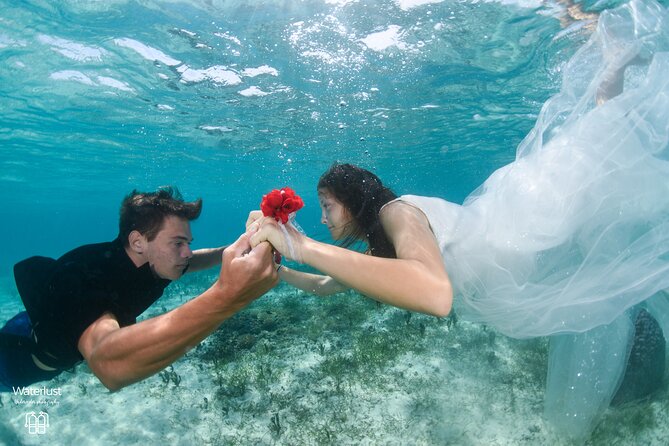 Private Underwater Photography Shoot in Fiji - Meeting and Pickup Options