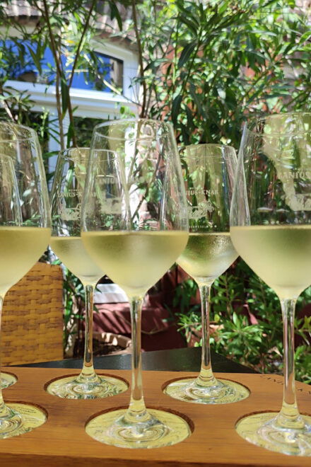 Private UNESCO Rhine Valley Tour With Boat Trip and Wine Tasting - Private Wine Tasting