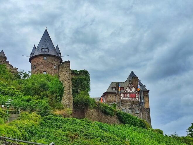 Private UNESCO Rhine Valley Tour With Boat Trip and Wine Tasting - Scenic Boat Trip