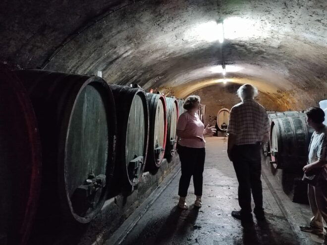 Private UNESCO Rhine Valley Tour With Boat Trip and Wine Tasting - Visit to Rheinfels Castle