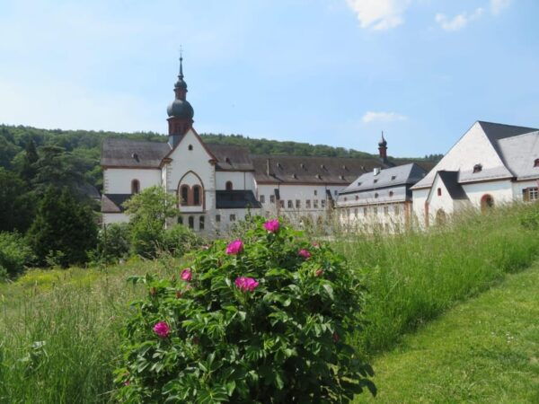 Private UNESCO Rhine Valley Tour With Boat Trip and Wine Tasting - Inclusions and Exclusions