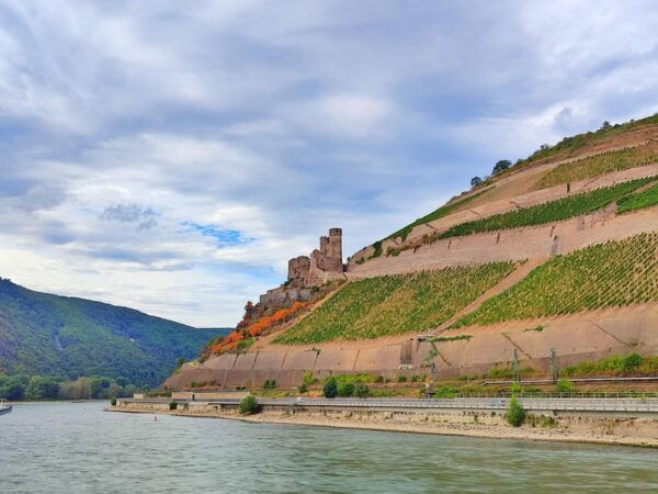 Private UNESCO Rhine Valley Tour With Boat Trip and Wine Tasting - Booking Information