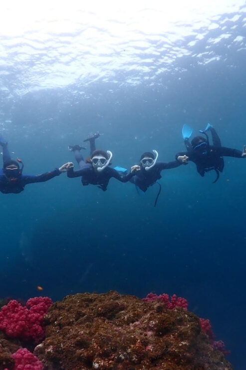 Private Unforgatable Snorkeling Day Trip in Izu (Shizuoka) - Itinerary Details