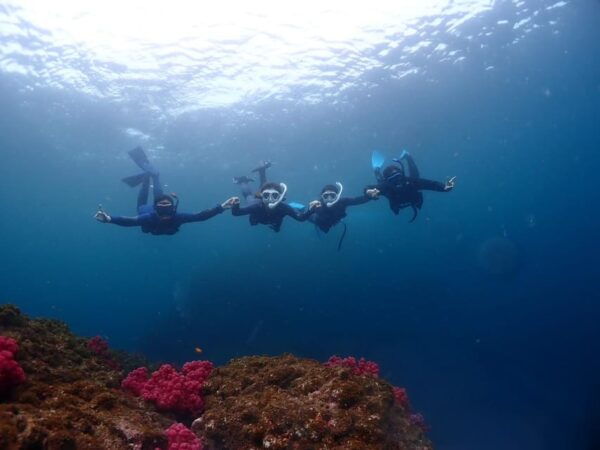 Private Unforgatable Snorkeling Day Trip in Izu (Shizuoka) - Booking Information