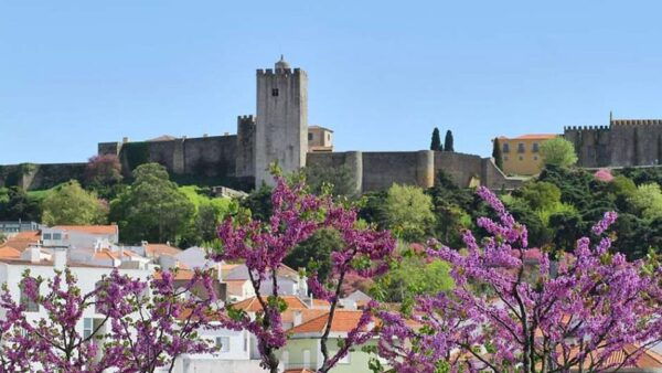 Private Unforgetable Full Day Tour in Arrábida - Booking Information