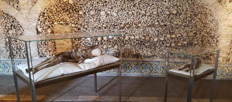 Private Unforgettable Full Day Tour in Évora - Tour Highlights and Itinerary