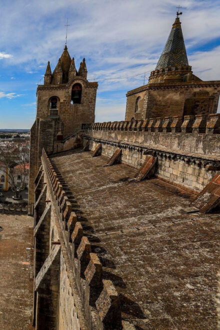 Private Unforgettable Full Day Tour in Évora - Customer Feedback