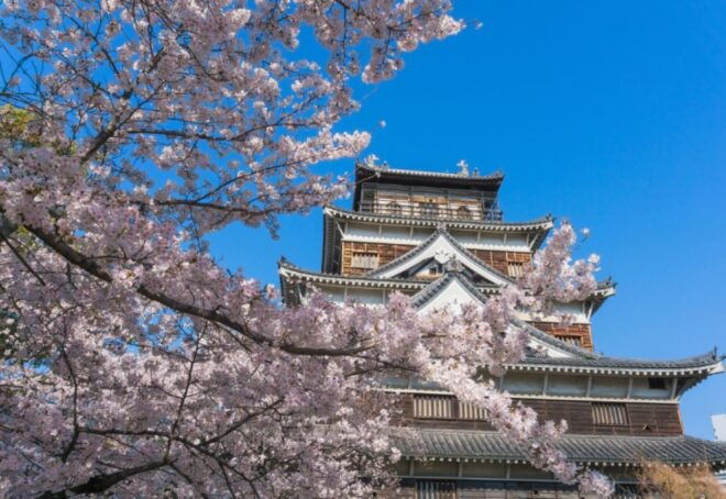 Private & Unique Hiroshima Cherry Blossom Sakura Experience - Additional Information