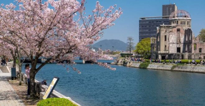 Private & Unique Hiroshima Cherry Blossom Sakura Experience - Booking and Details
