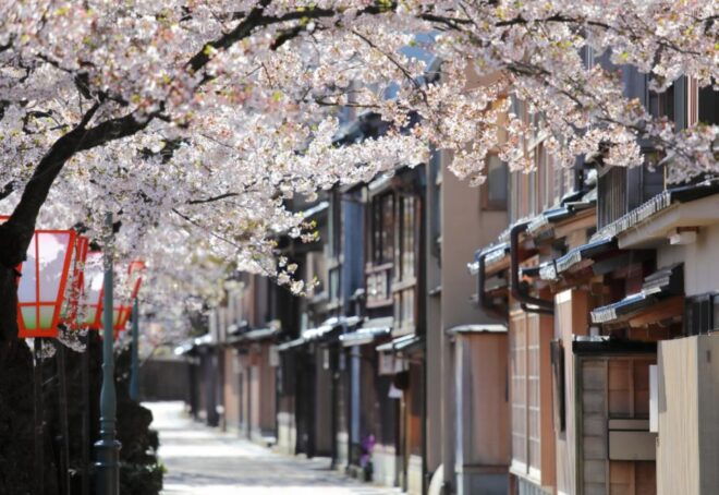Private & Unique Kanazawa Cherry Blossom "Sakura" Experience - Booking and Pricing