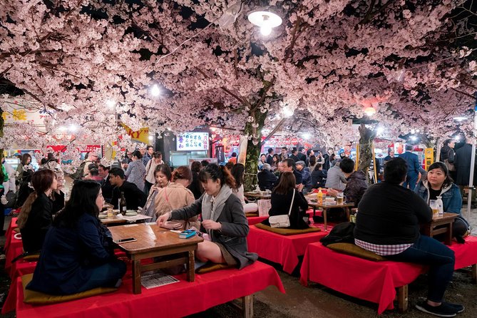 Private & Unique Kyoto Cherry Blossom "Sakura" Experience - Yozakura: Nighttime Blossom-Viewing
