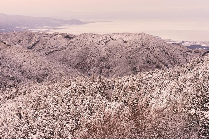 Private & Unique Kyoto Cherry Blossom "Sakura" Experience - Price and Terms