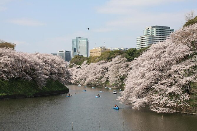 Private & Unique Tokyo Cherry Blossom "Sakura" Experience - Additional Information
