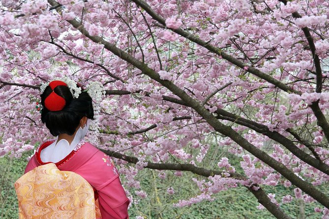 Private & Unique Tokyo Cherry Blossom "Sakura" Experience - Reviews and Pricing
