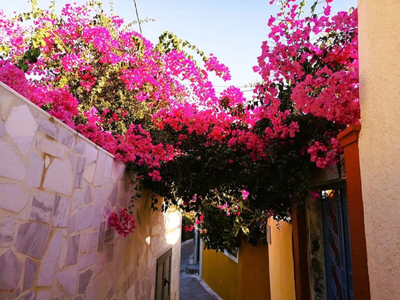 Private Unseen Authentic Santorini Half Day Shore Excursion - Final Verdict