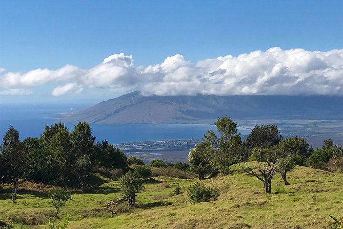 Private Upcountry Maui Tour - Pricing Options