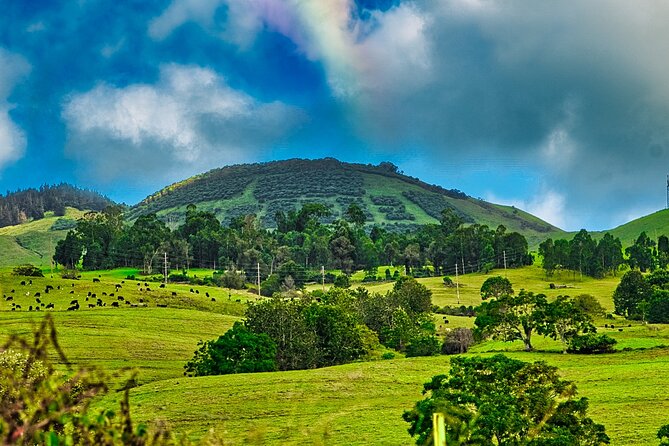 Private Upcountry Maui VIP Sunset Tour - Full Day - See Green Sea Turtles at Hookipa