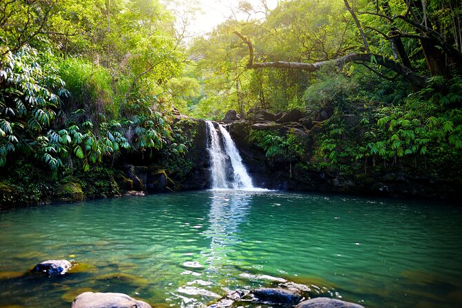 Private Upcountry Maui VIP Sunset Tour - Full Day - Watch the Sunset at Polipoli State Park