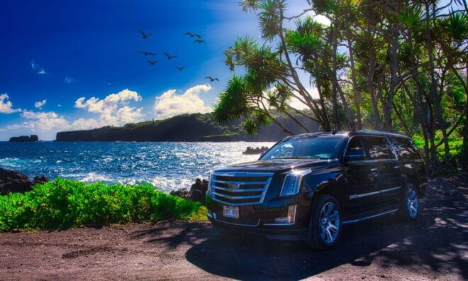 Private Upcountry Maui VIP Sunset Tour - Full Day - Helpful Reviews and Product ID
