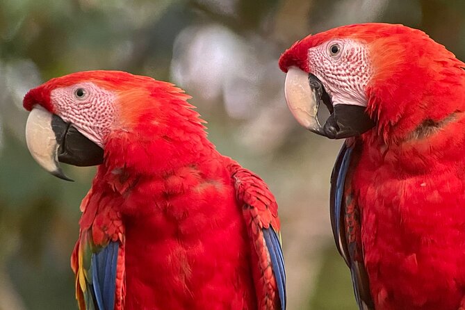 Private Urban Wildlife City Tour From Manuel Antonio to Quepos - Cancellation Policy Details