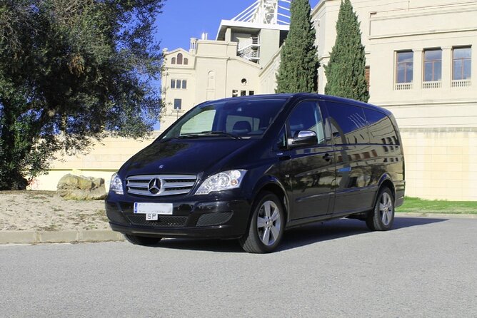 Private Valencia Transfer: Central Valencia to Cruise Port or Valencia Airport - Inclusions
