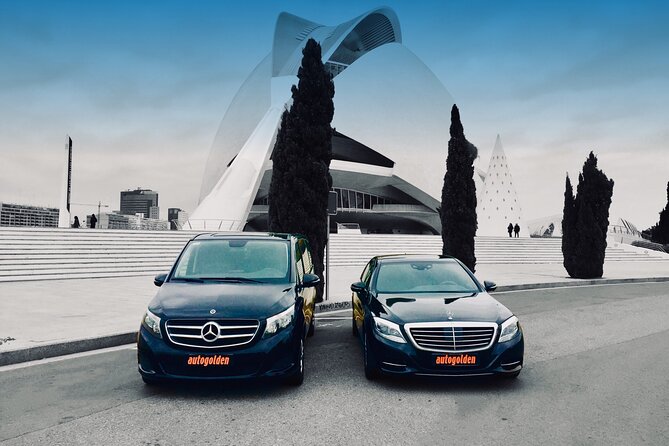 Private Valencia Transfer: Central Valencia to Cruise Port or Valencia Airport - Mobile Ticket and Pickup Locations