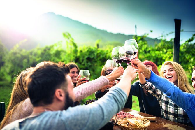 Private Valpolicella Day Trip From Venice: Wine Tasting and Verona - Negative Reviews and Challenges