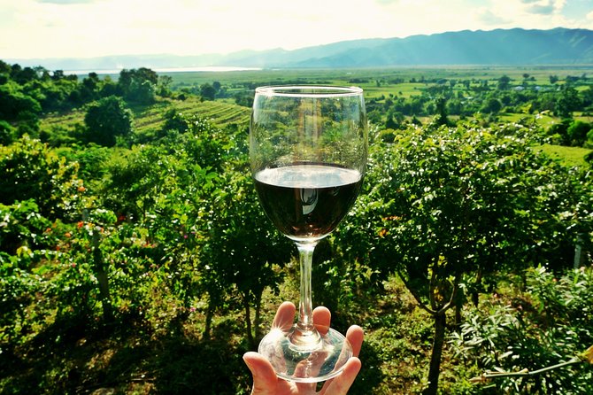 Private Valpolicella Day Trip From Venice: Wine Tasting and Verona - Overview and What To Expect