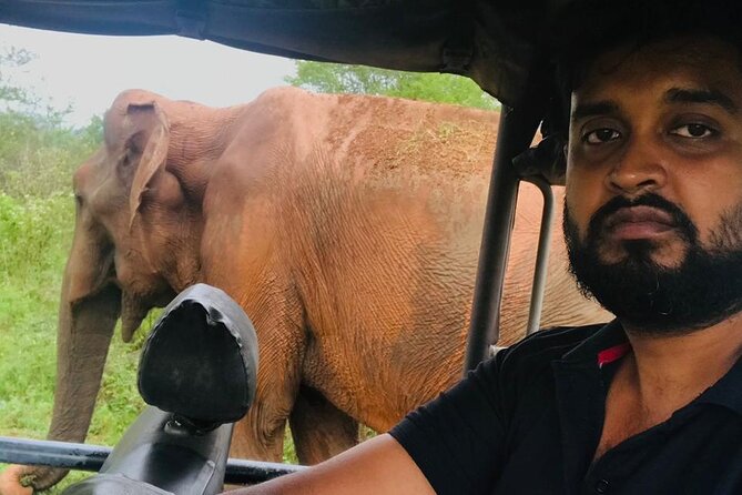 Private Van / Car & Driver for 10 Days Tour in Sri Lanka - Pricing and Lowest Price Guarantee