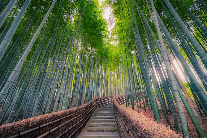 Private Van - Deep Kyoto & Arashiyama Tour (Full-English Guide) - Traveler Reviews