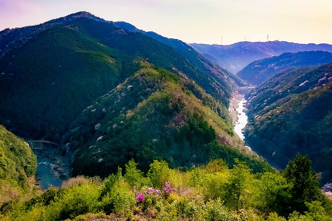 Private Van - Deep Kyoto & Arashiyama Tour (Full-English Guide) - How to Book
