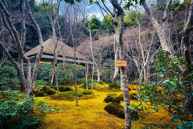 Private Van - Deep Kyoto & Arashiyama Tour (Full-English Guide) - Common Questions