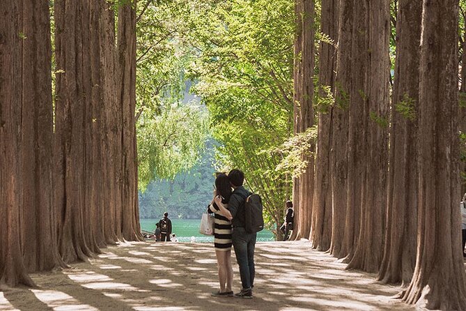 Private Van to Nami Island, Petite France & More (Up to 14 Pax) - Pricing and Booking Details