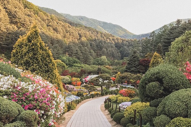 Private Van to Nami Island, Petite France & More (Up to 14 Pax) - Drop-off Point